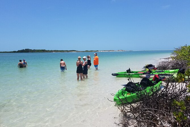 Guided Kayak EcoTour of Beautiful Shell Key Preserve - Starting at Tierra Verde: meeting point, timing, and group size
