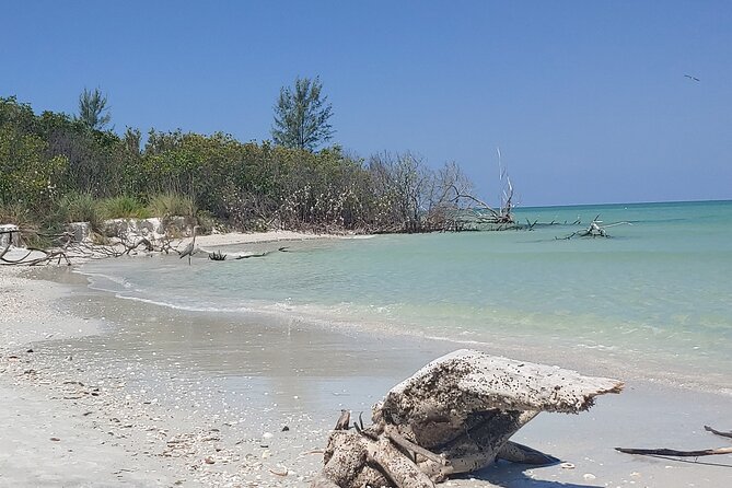 Guided Kayak EcoTour of Beautiful Shell Key Preserve - Stop 2: paddling out to Shell Key Preserve and what you’ll see