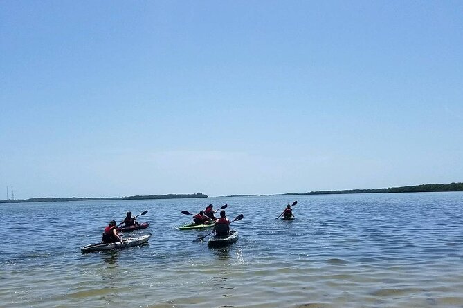 Guided Kayak EcoTour of Beautiful Shell Key Preserve - Stop 1: Shell Key Shoal beaches, shell collecting, and easy water time