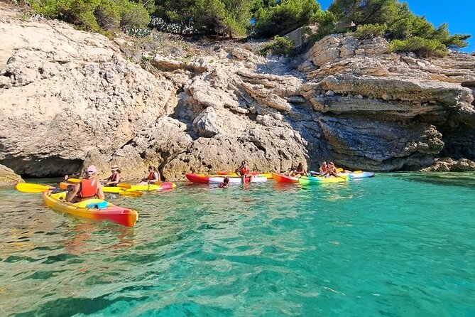 Guided kayak excursion in creeks - Price and Value: Is $66.52 Worth It?