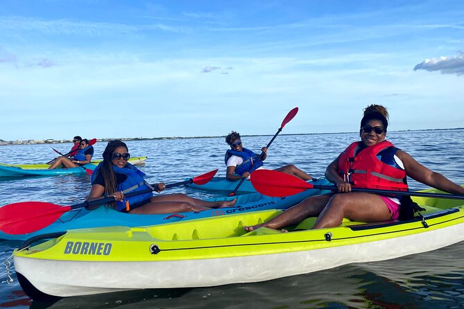 Guided Kayak Excursion Rehoboth Back Bay - Key points at a glance