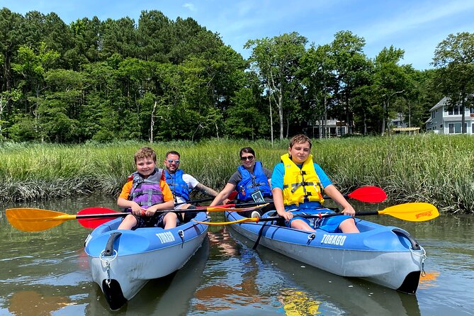 Guided Kayak Excursion Rehoboth Back Bay - Wildlife spotting that feels realistic (not like a guessing game)