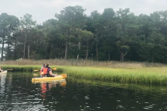 Guided Kayak Excursion Rehoboth Back Bay - Wind and comfort: when this trip goes from pleasant to tricky