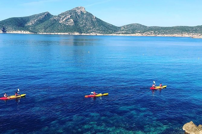 Guided Kayak & Hike from Sant Elm to Sa Dragonera - Price and value: what $78.31 covers (and why it’s reasonable)
