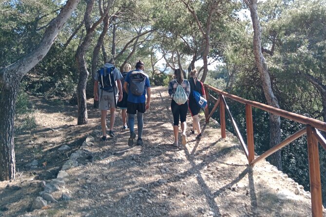 Guided Kayak & Hike from Sant Elm to Sa Dragonera - The kayak portion: beginner-friendly, but still hands-on