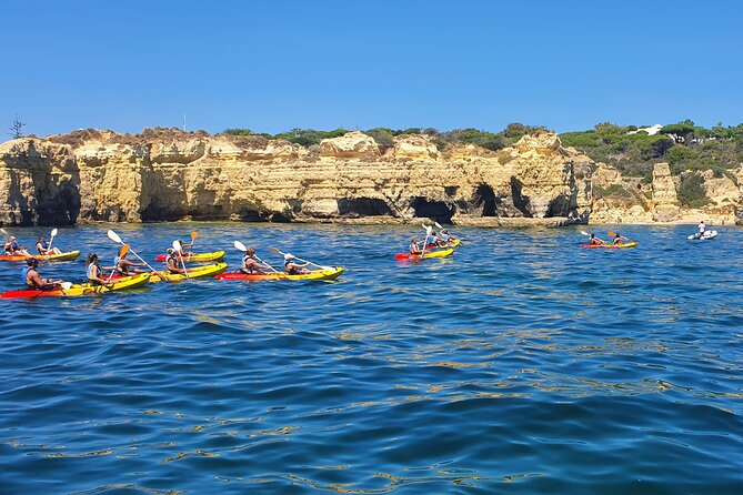 Guided Kayak Tour: Exploring Benagil Caves - Swim Stops and Re-Boarding: Where You Get Time in the Water