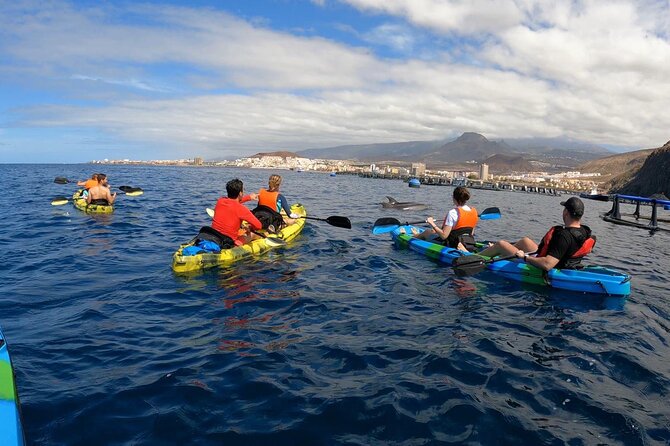 Guided Kayak Tour From Los Cristianos Beach Tenerife - Snorkeling in guided swim zones: what you’re actually doing