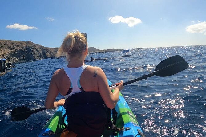 Guided Kayak Tour From Los Cristianos Beach Tenerife - Cueva del Palma and the Guaza mountain views