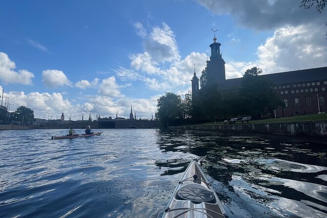Guided Kayak Tour in Central Stockholm - Weather Reality in Stockholm: Fun in Rain, Work in Wind