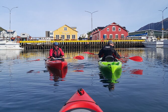 Guided kayak tour in Siglufjörður / Siglufjordur. - Key things I’d circle before you book
