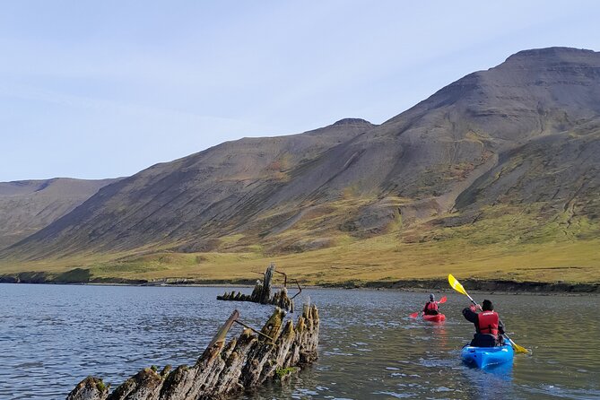Guided kayak tour in Siglufjörður / Siglufjordur. - Paddling Siglufjörður fjord with a max-6 group