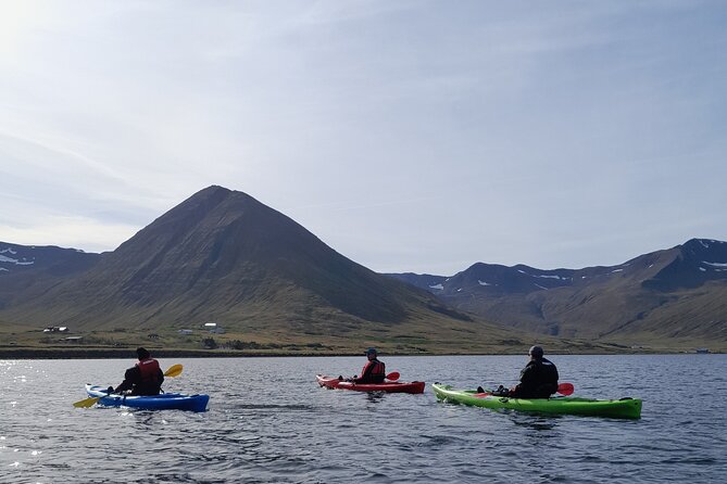 Guided kayak tour in Siglufjörður / Siglufjordur. - Meeting at Sigló Sea Headquarters and getting fitted on-site