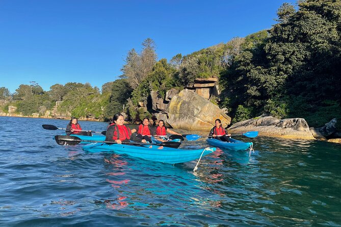 Guided Kayak Tour of Manly Cove Beaches - Key Things I’d Tell a Friend Before You Go