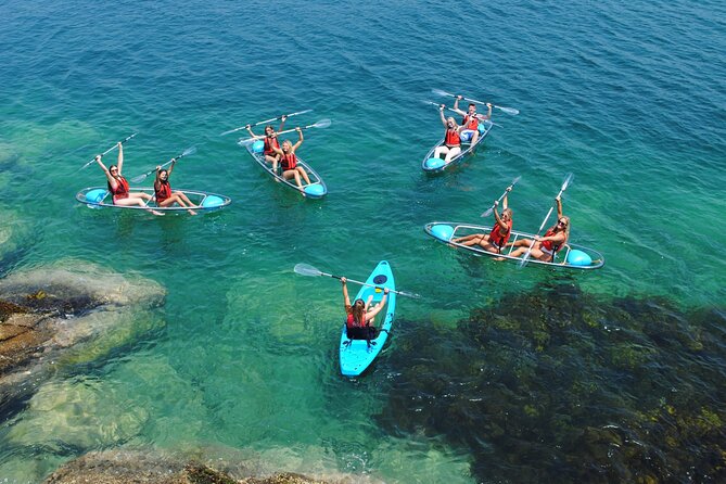 Guided Kayak Tour of Manly Cove Beaches - Meeting at Manly Yacht Club: The Easiest Start Line