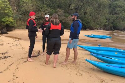 Guided Kayak Tour of Manly Cove Beaches - What You Actually See: Collins Flat Beach and Its Cave-Spotting Magic