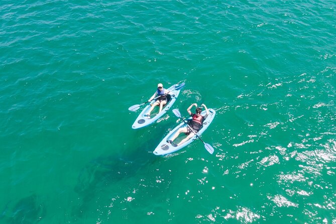 Guided Kayak Tour of Manly Cove Beaches - Gear and Comfort: Drybags, Hot Drinks, and the Stuff You’ll Actually Use