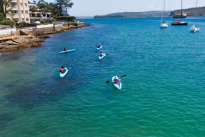 Guided Kayak Tour of Manly Cove Beaches - Price and Value: Why $68.14 Can Actually Make Sense