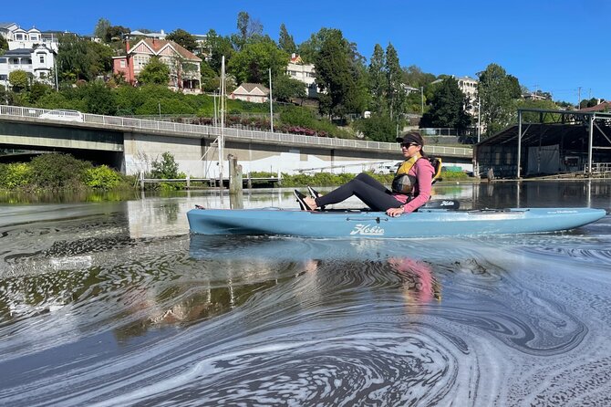 Guided Kayak Tour on Launceston's scenic waterfront on foot powered Hobie kayaks - Key Things I’d Prioritize Before You Go