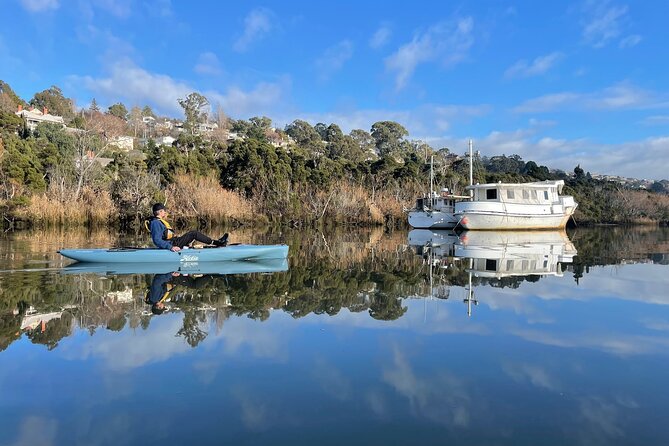 Guided Kayak Tour on Launceston's scenic waterfront on foot powered Hobie kayaks - North Esk Downstream to the Tamar Junction: Old Docks and Easy Rhythm