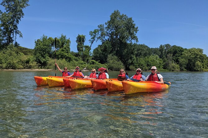 Guided Kayak Tour on Niagara River from the US Side - The 3-hour route: from Grand Island marsh edges to Strawberry Island