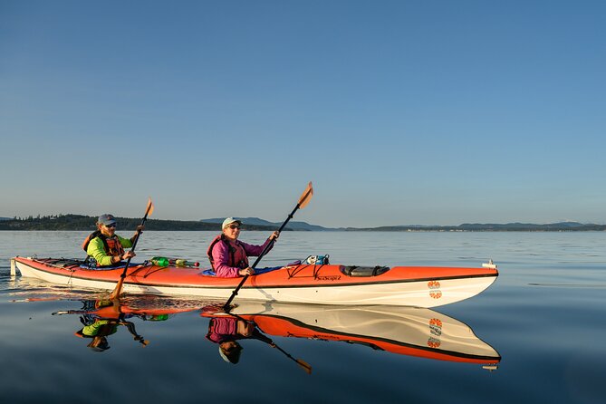 Guided Kayak Tour on San Juan Island - Key highlights at a glance