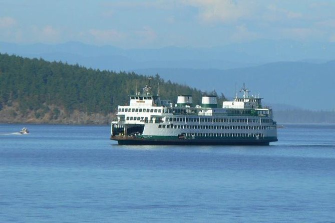Guided Kayak Tour on San Juan Island - Where the kayak tour starts in Friday Harbor (and why it matters)