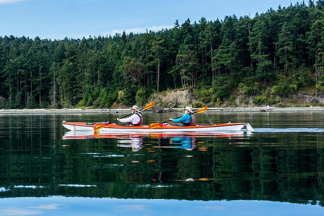 Guided Kayak Tour on San Juan Island - Stop 2: Jackson Beach Park for a safety talk and coaching