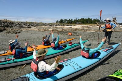 Guided Kayak Tour on San Juan Island - Price and value: what you get for $119 per person