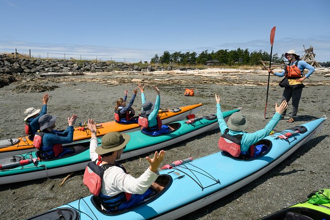 Guided Kayak Tour on San Juan Island - Price and value: what you get for $119 per person