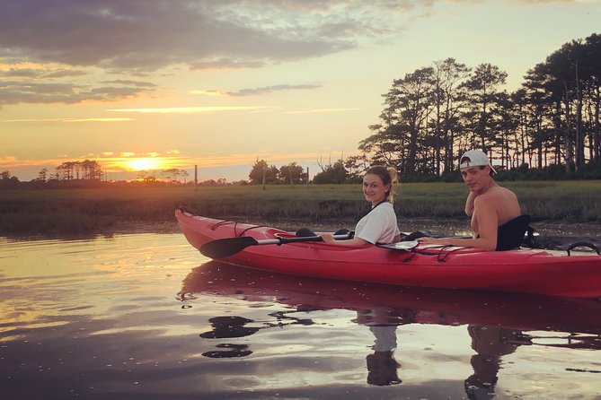 Guided Kayak Tour to see ponies, birds, dolphins and more - Following Bailey: small-group guidance that helps you actually spot wildlife
