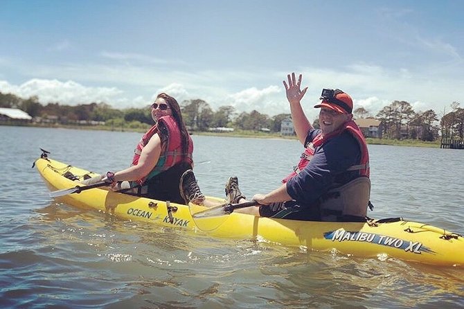 Guided Kayak Tour to see ponies, birds, dolphins and more - How strenuous is the tour, really?