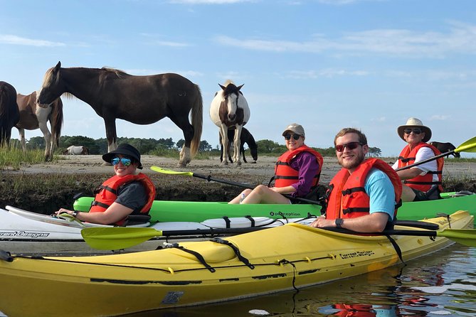 Guided Kayak Tour to see ponies, birds, dolphins and more - Who should book this kayak tour?