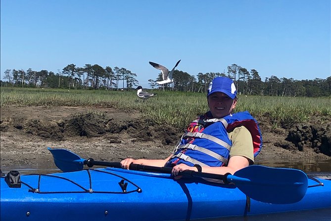 Guided Kayak Tour to see ponies, birds, dolphins and more - Weather, tides, and why every trip is different