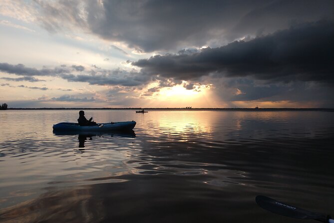 Guided Kayak Tour with Manatee & Dolphin Sightings - Wildlife on the Water: Manatees, Dolphins, and Other Sea Life