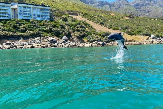 Guided Kayaking in Hout Bay - The Planned Route: Chapman’s Peak Drive Views You See From a Different Angle