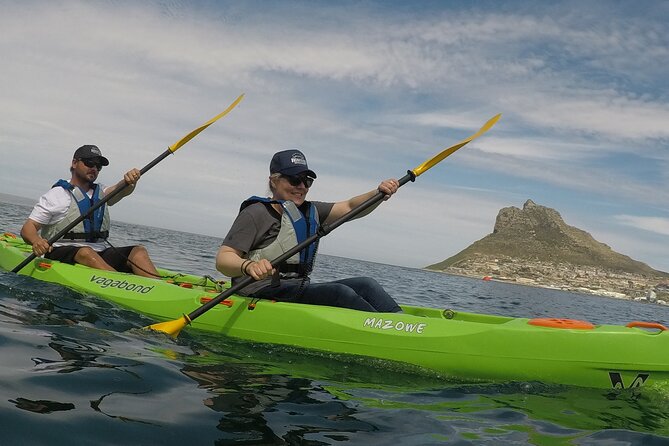 Guided Kayaking in Hout Bay - Hout Bay Harbor: Where the Wildlife-Spotting Energy Starts