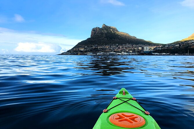 Guided Kayaking in Hout Bay - What 24 People Means for Your Experience