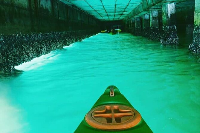 Guided Kayaking in Hout Bay - Price, Value, and Why $25.97 Can Make Sense