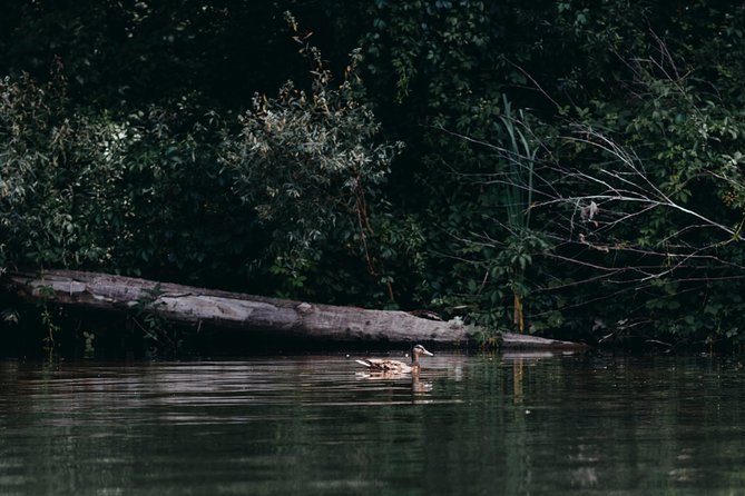 Guided kayaking on the Nalón river Oviedo - Safety, wetsuits, and what to wear on the Nalón
