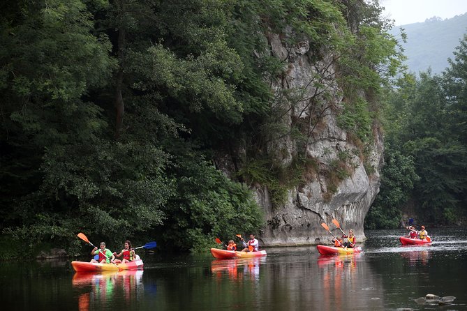 Guided kayaking on the Nalón river Oviedo - Nature guide + a river dip: the memorable moments you’ll remember later