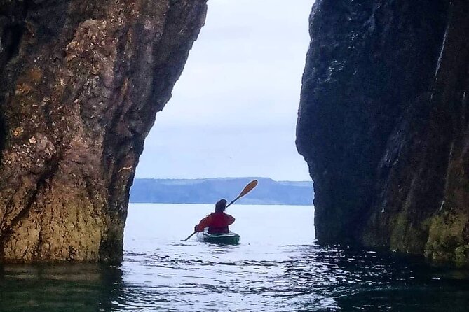 Guided kayaking trip exploring the secrets of the Tenby coastline - Tenby North Beach Stop: Quiet Water Access and Built-In Break Time