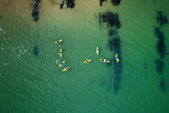 Guided kayaking trip exploring the secrets of the Tenby coastline - Price and Timing: $79.52 for a True Coastal Experience