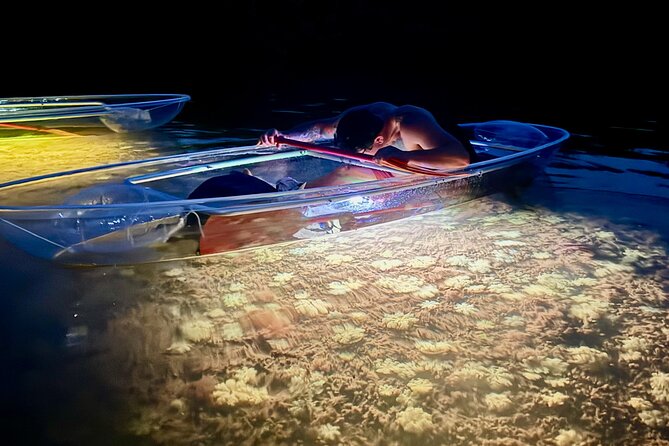 Guided Night Kayak Adventure Tour in Luminous Lagoon - Key Highlights at a Glance