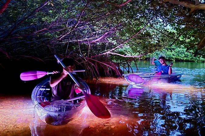 Guided Night Kayak Adventure Tour in Luminous Lagoon - Meet at Key West Boat & Jet Ski Adventures and Get Your Bearings