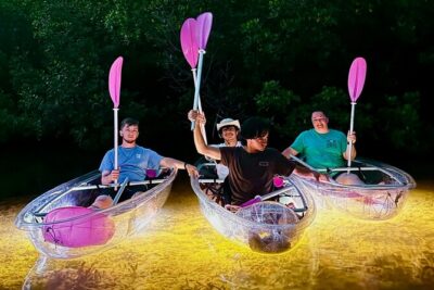 Guided Night Kayak Adventure Tour in Luminous Lagoon - The Luminous Lagoon Setup: Clear LED Kayaks and What You See Underneath