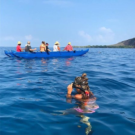 Guided Outrigger Canoe Tour in Kealakekua Bay - Safety, comfort, and the small details that affect your day