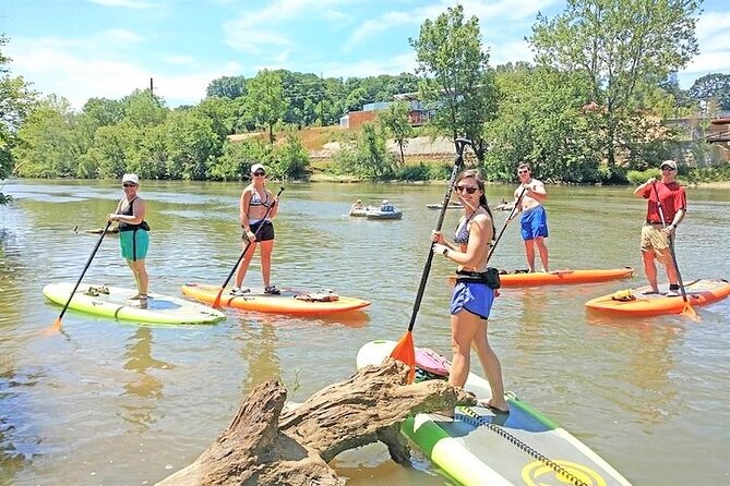 Guided Paddleboard Tour Through Asheville's River Arts District - Key Highlights You’ll Actually Notice