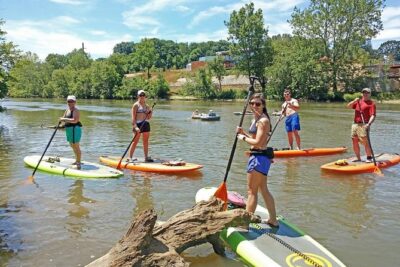Guided Paddleboard Tour Through Asheville's River Arts District - The 4-Mile Float: Parks, Forest Edges, Wildlife, and River-Mouth Energy