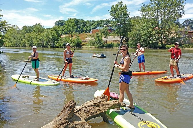 Guided Paddleboard Tour Through Asheville's River Arts District - The 4-Mile Float: Parks, Forest Edges, Wildlife, and River-Mouth Energy