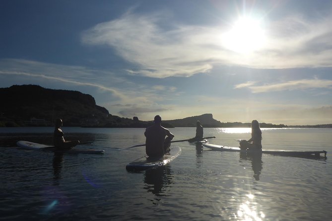 Guided paddleboarding (SUP) mangrove ECO tour for beginners - Getting steady fast: instruction, gear, and your first minutes